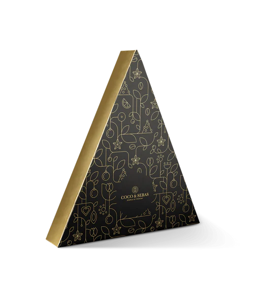 coco en sebas adventkalender